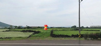 오일장신문