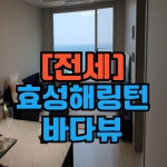제주새희망공인중개사사무소