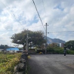 오일장신문