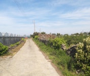 오일장신문닷컴