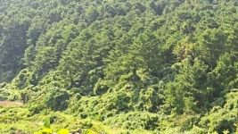 석영공인중개사사무소