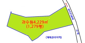 오일장신문