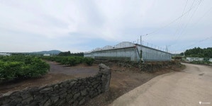 오일장신문