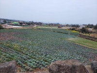 오일장신문닷컴