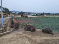 오일장신문닷컴