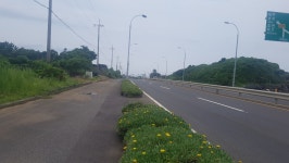 오일장신문