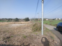오일장신문