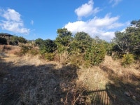 오일장신문닷컴