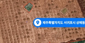 제주황금알부동산중개