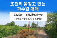 유민공인중개사사무소