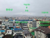 오일장신문