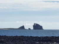 오일장신문