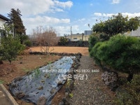 부동산판다공인중개사