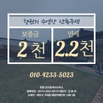 오일장신문