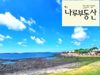 제주나루부동산