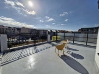 제주팔구사부동산중개