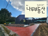 제주나루공인중개사사무소