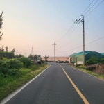 오일장신문 - 부동산