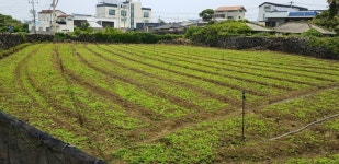 오일장신문닷컴