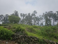 오일장신문