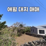 모두의제주공인중개사사무소