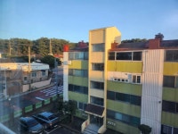 오일장신문