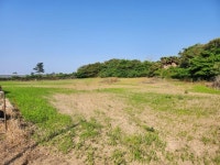 씨유공인중개사사무소