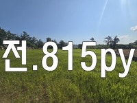 오일장신문