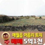 베라체공인중개사사무소