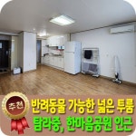 베라체공인중개사사무소