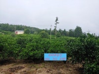 오일장신문