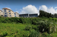 오일장신문닷컴