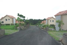 새로이공인중개사