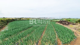 오일장신문닷컴