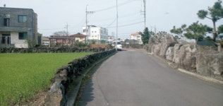오일장신문