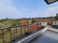 오일장신문