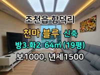 오일장신문