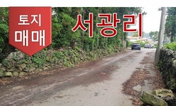 오일장신문