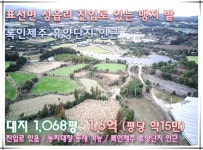 오일장신문