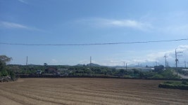 오일장신문