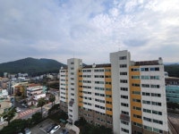 오일장신문