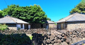 오일장신문 - 부동산