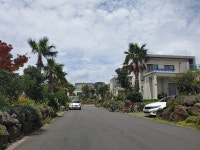 오일장신문닷컴