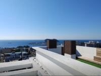 오일장신문