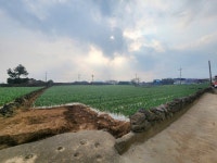 오일장신문