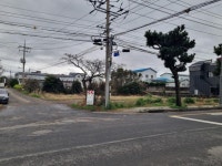 오일장신문