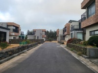 오일장신문