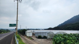 오일장신문