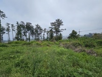 오일장신문