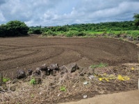 오일장신문닷컴